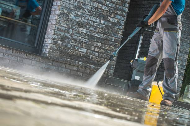 Best Roof Washing  in Davis Junction, IL