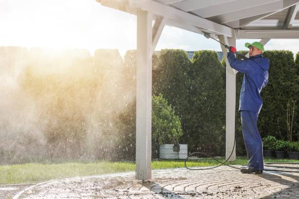 Best Fleet Vehicle Washing  in Davis Junction, IL