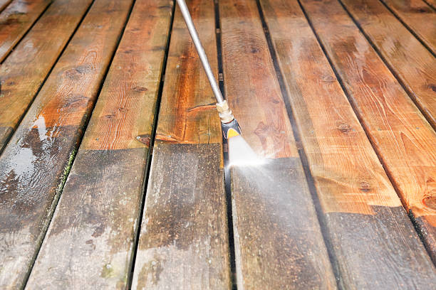 Best Warehouse Cleaning  in Davis Junction, IL