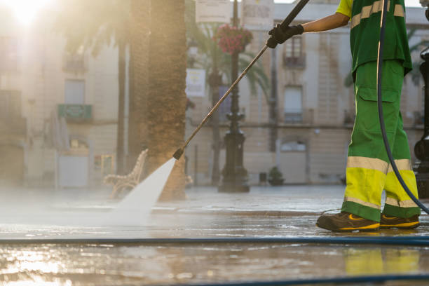 Trusted Davis Junction, IL Pressure Washing Services Experts
